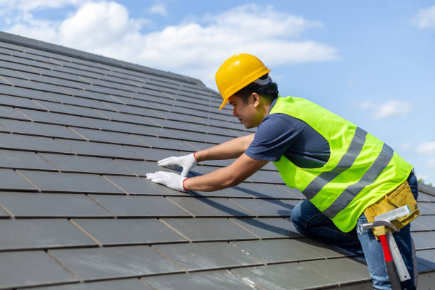 Best Roof Gutter Cleaning  in Pontotoc, MS