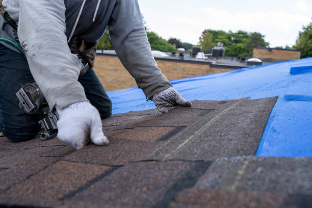 Best Best Roofing Contractors  in Pontotoc, MS